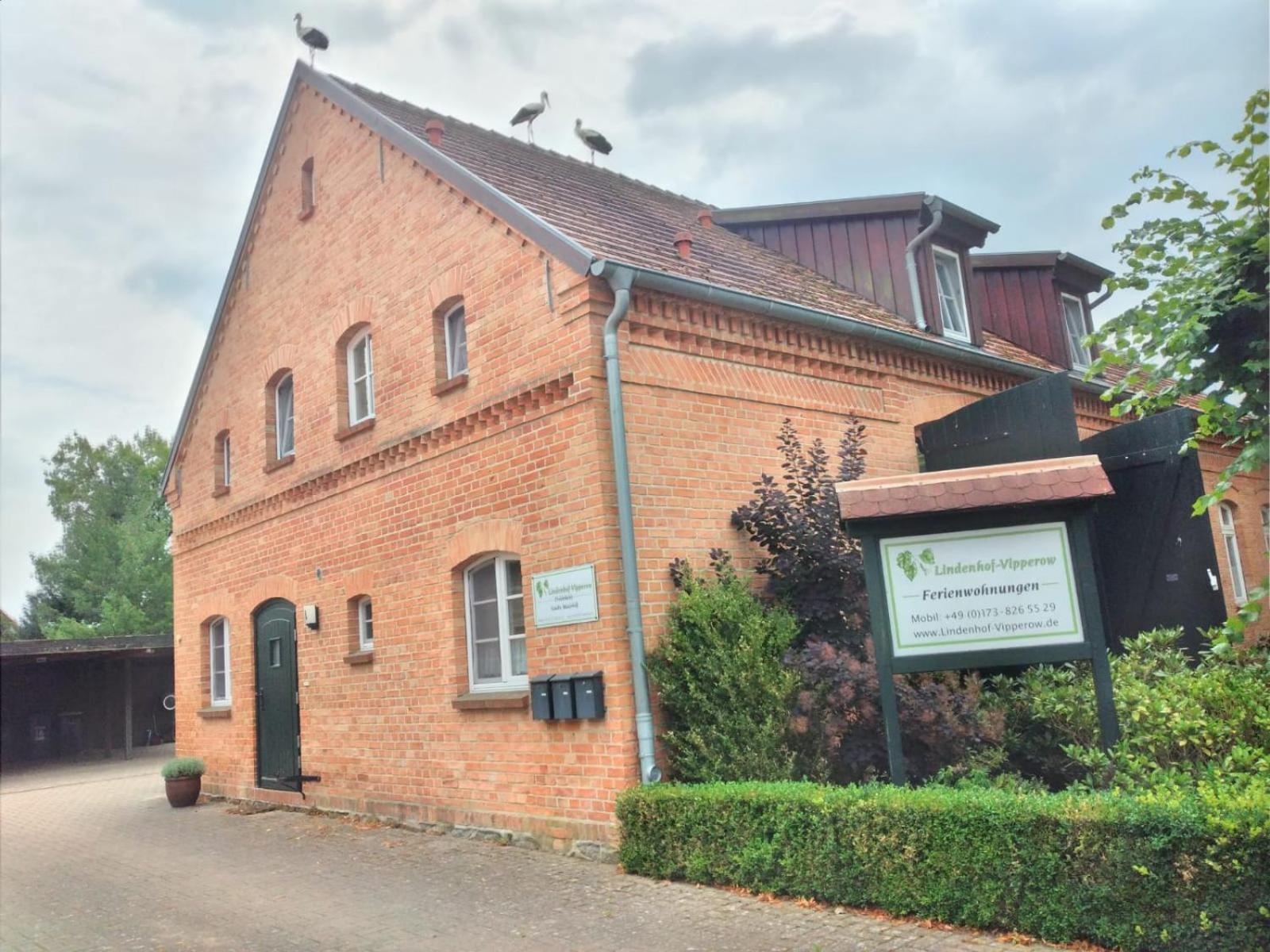 Lindenhof, Wohnung 1, Giebel Vipperow ภายนอก รูปภาพ